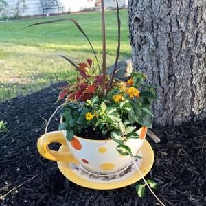 Meet your Posher, Renee